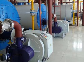 2017年密云镇政府NTFB低氮30mg机器